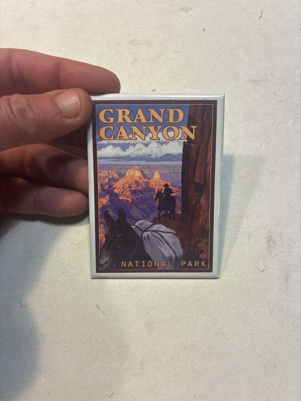 Lantern Press Grand Canyon National Park Souvenir Magnet Mule Train